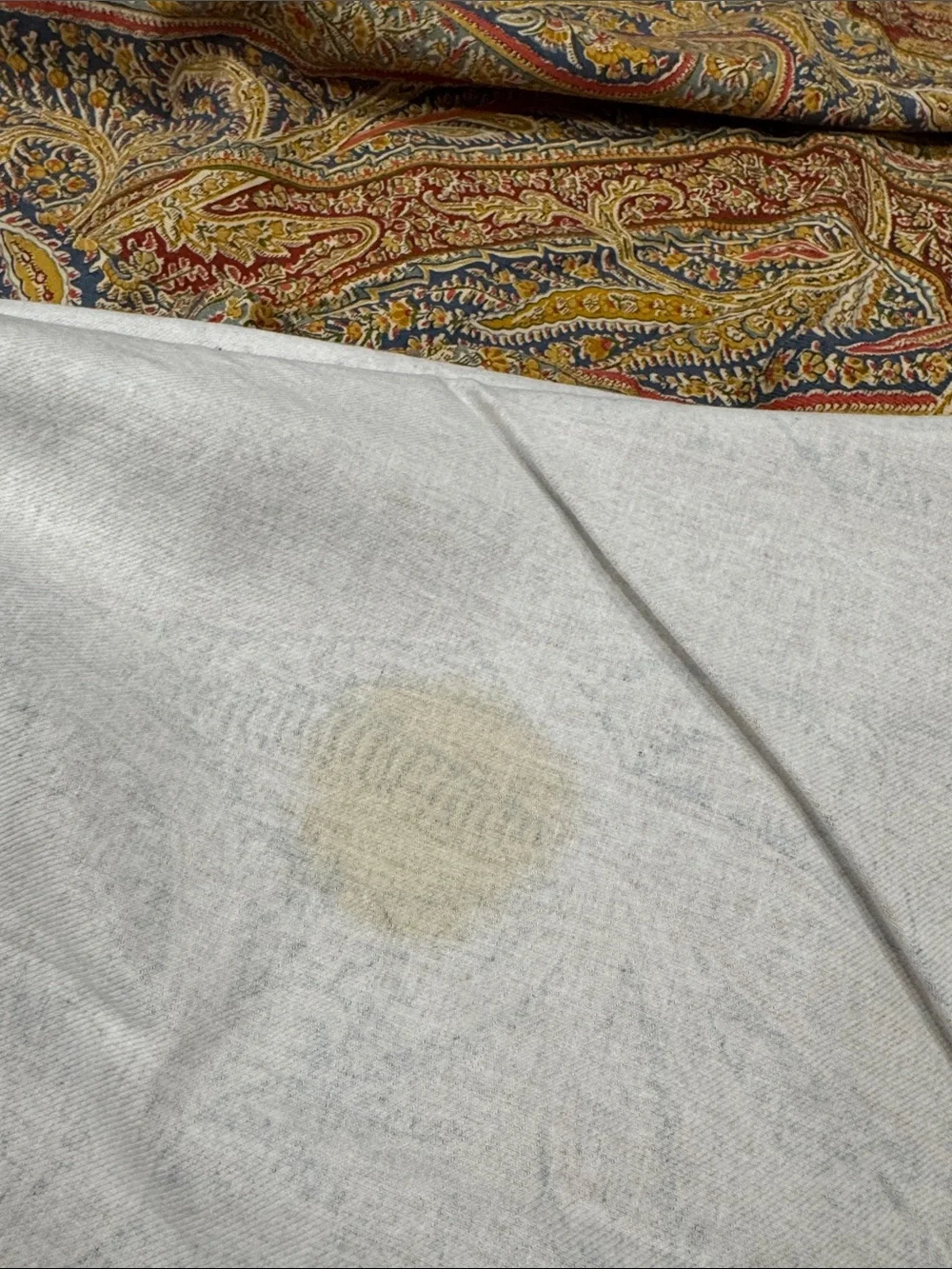 Williams- Sonoma Aurora Paisley textile, tablecloth or drape, 70”x108”